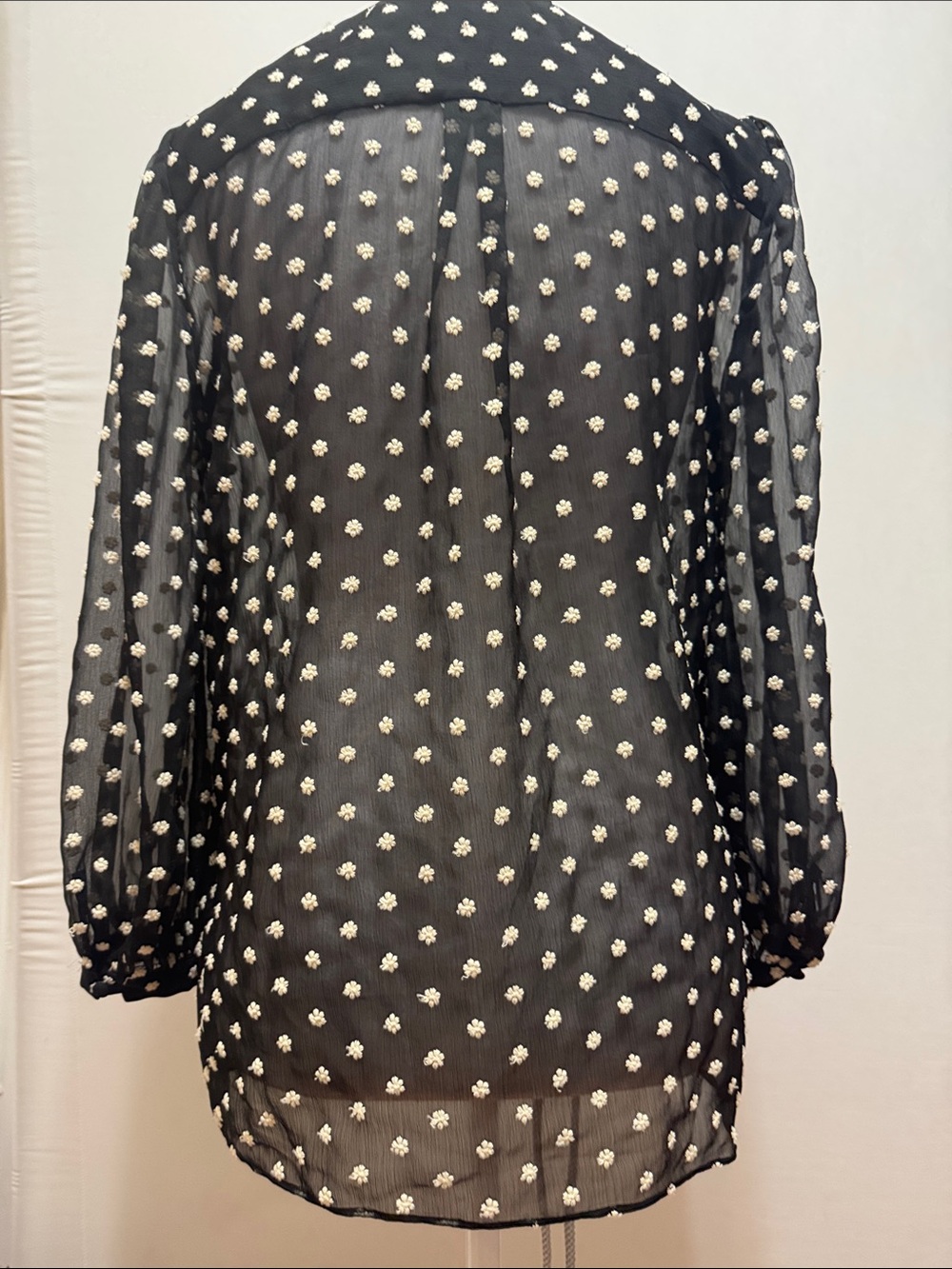 Alice + Olivia Floral Embroidery Button-Front  Sheer Blouse - Picture 11 of 11